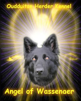 Angel of Wassenaer